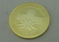 Confoederatio 헬베티아 개인화한 동전, 아연 합금은 주물 금 도금 육군 동전을 가진 죽습니다